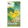 Booster 151 Journey[CN]
