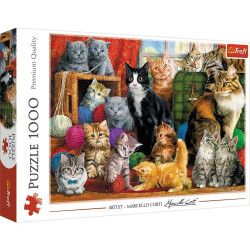 Puzzles - 