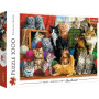 Puzzles - 