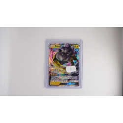 Raikou GX (SM 121)[DE/NM]