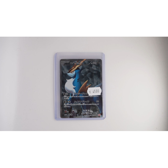 Kobalium (BW2 069)[JP/PL]