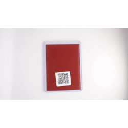 ボタン / Penny (SV1S-105)[JP/NM]