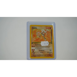 Hitmonlee (FO-22)[DE/NM]