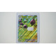 Arboliva ex / Olithena-ex (DRI-23)[DE/NM]