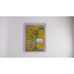 Iron Leaves ex / Eisenblatt-ex (TEF-213)[DE/NM]