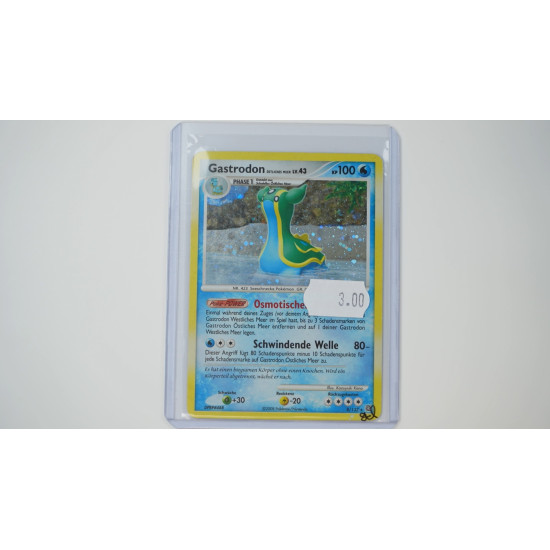 Gastrodon East Sea (SW-8)[DE/GD]