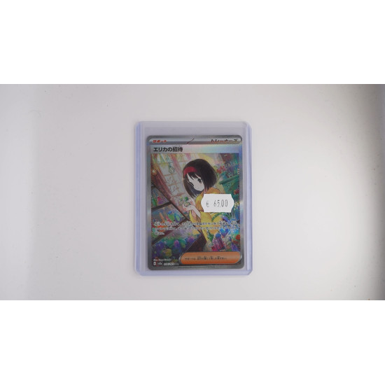 エリカの招待 / Erika's Invitation (SV2A-206)[JP/NM]