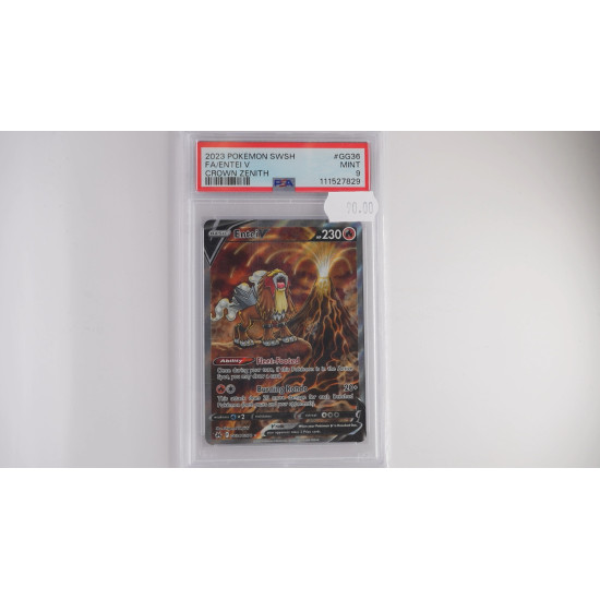 Entei V / Entei V (CRZ-GG36) PSA[EN/MT]