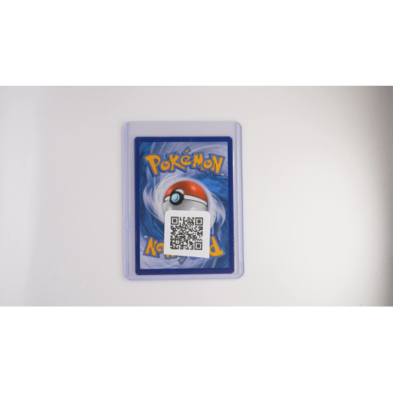 Zamazenta V / Zamazenta V (SP-77)[EN/NM]