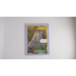 Mt. Coronet / Kraterberg (HIF-SV89)[DE/NM]