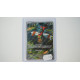 Yanma / Yanma (DRI-183)[DE/NM]