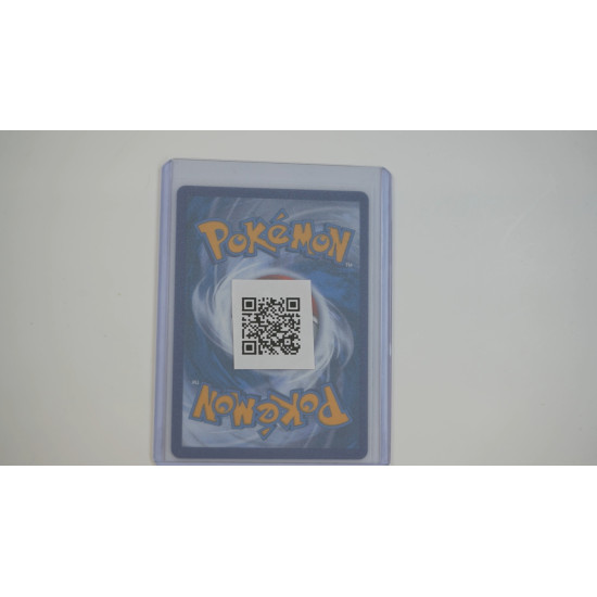 Zamazenta V / Zamazenta V (CEL-18)[DE/NM]