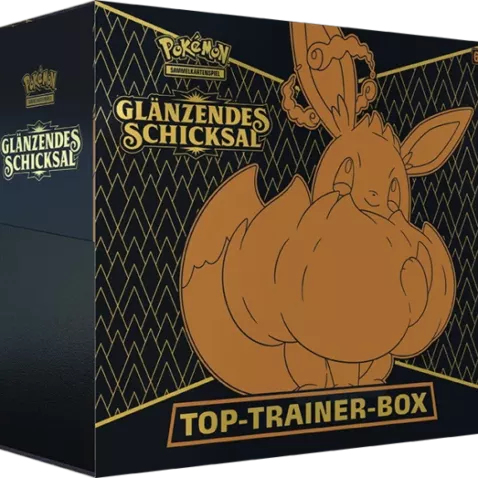 Glänzendes Schicksal Top-Trainer-Box[DE]
