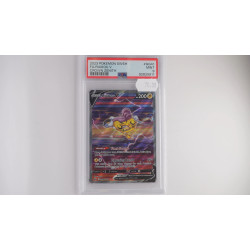 Raikou V / Raikou V (CRZ-GG41)[EN/MT]