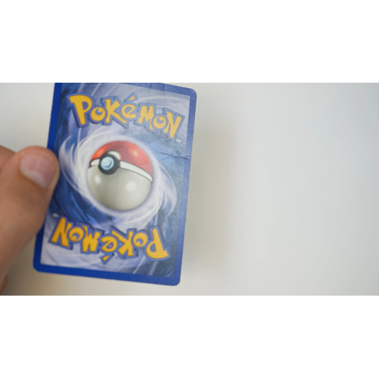 Raichu (FO-14)[EN/PO]