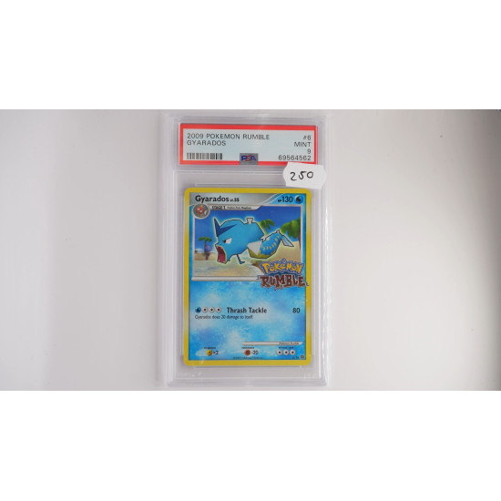 Garados Lv.55 (RM 6) PSA[EN/MT]