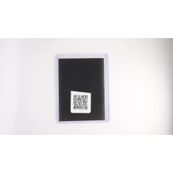 Iron Crown ex / Eisenhaupt-ex (TEF-206)[DE/NM]