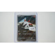 Larvesta / Ignivor (SSP-196)[DE/NM]