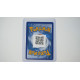 Pikachu V / Pikachu V (SP-145)[EN/NM]