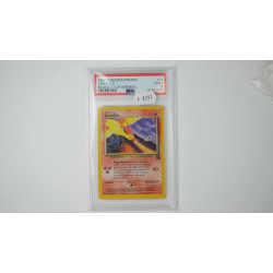 Lavados (WP 21) PSA[DE/MT]