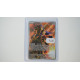 Zamazenta / Zamazenta (DRI-201)[DE/NM]