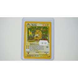 Raichu (FO-14)[EN/PO]