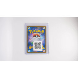 博士の研究 / Professor's Research (S8A-29)[JP/NM]