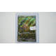 Feebas / Barschwa (SSP-198)[DE/NM]