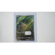 ヒンバス / Feebas (SV8-110)[JP/NM]