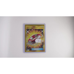 Switch Raft / Rettungsring (DRM-77)[EN/NM]