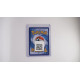 Rotom ex / Rotom-ex (PFL-126)[DE/NM]