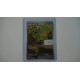 Omanyte / Amonitas (MEW-180)[DE/NM]