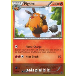 Pignite (Black & White BLW-17) [DE/EX]