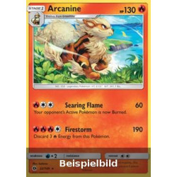 Arcanine (Sun & Moon SUM-22) [DE/NM]
