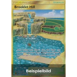 Brooklet Hill (Hidden Fates HIF-SV88) [DE/NM]