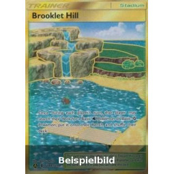 Brooklet Hill (Hidden Fates HIF-SV88) [DE/NM]