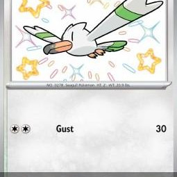 Wingull (Paldean Fates PAF-203) [DE/NM]
