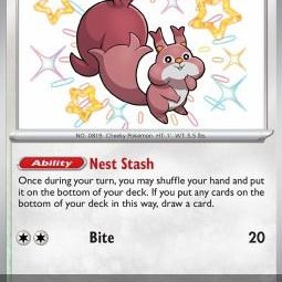 Skwovet (Paldean Fates PAF-205) [DE/NM]
