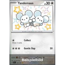 Tandemaus (Paldean Fates PAF-209) [EN/NM]