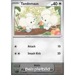 Tandemaus (Paldea Evolved PAL-167) [DE/NM]