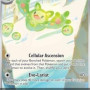 Reuniclus (SV Black Star Promos SVP-212) [DE/NM]