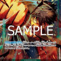 Monkey.D.Luffy (PRB02-005) (V.2) (The Best Vol. 2 (Non-English)) [JP/NM]