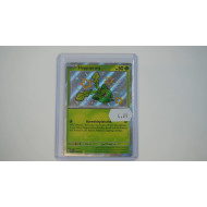 Hoppip / Hoppspross (PAF-96)[DE/NM]