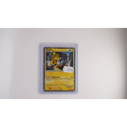 Raikou (HGSS 19)[DE/NM]