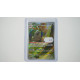 Mabosstiff / Mastifioso (SVI-218)[DE/NM]