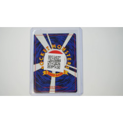 Feraligatr (N1-4)[JP/NM]