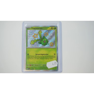 Hoppip / Hoppspross (PAF-96)[DE/NM]
