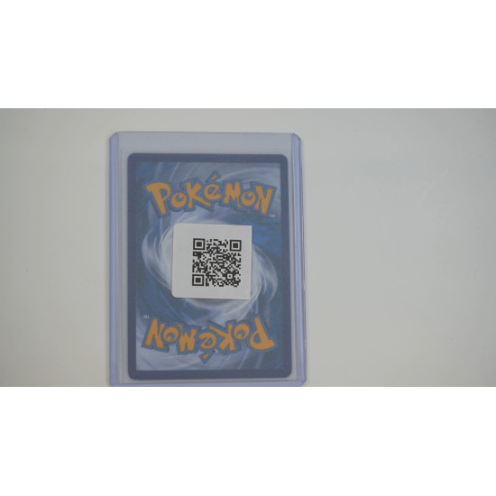 Zamazenta V / Zamazenta V (CEL-18)[DE/NM]